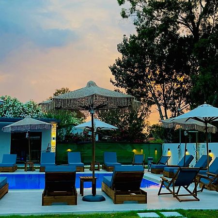 Olia Seaside Residence 120M From The Beach Pefkochori Luaran gambar